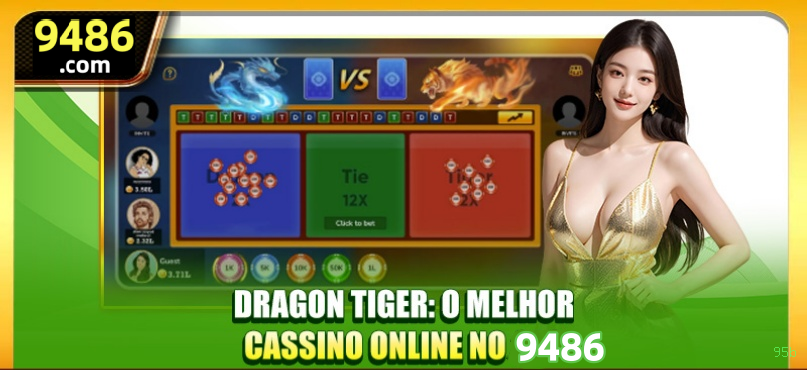 Formulário registro 95b